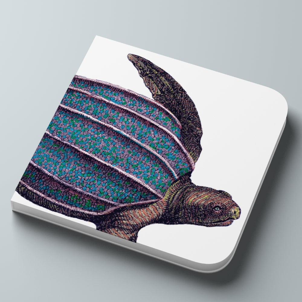 Turtle Notebook